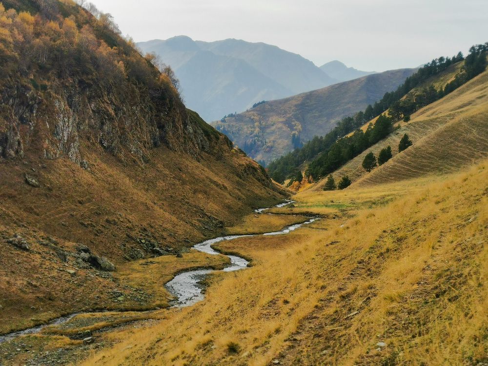 Фотография автора OXANA MARSOVA