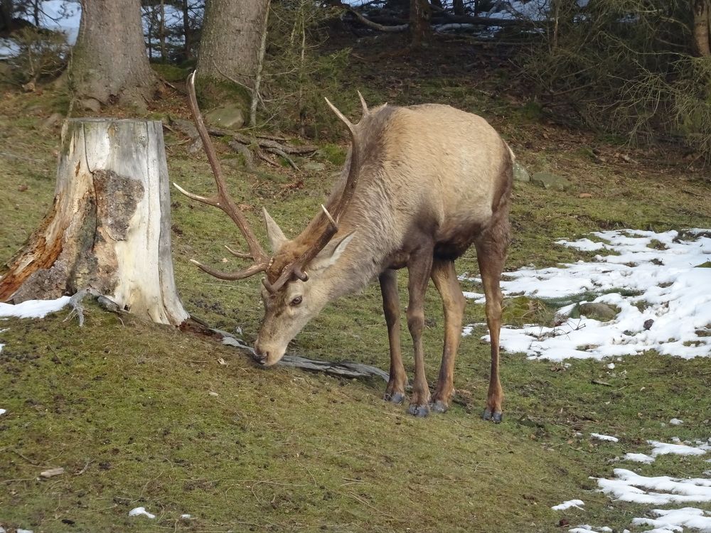 Photograph by Олександр Опанасюк