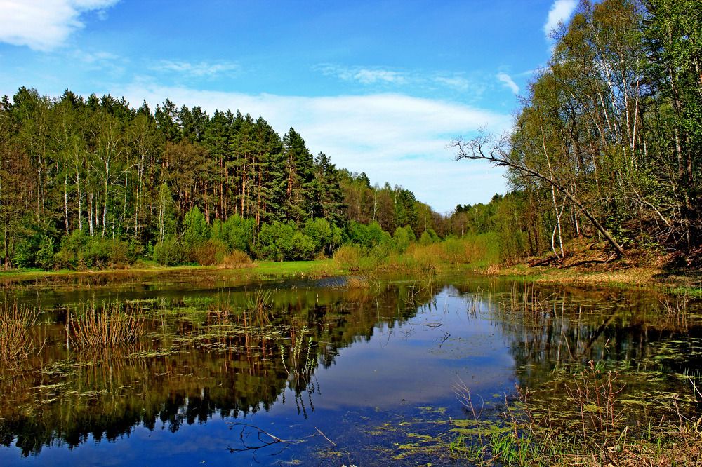 Photograph by Александр Бугаенко