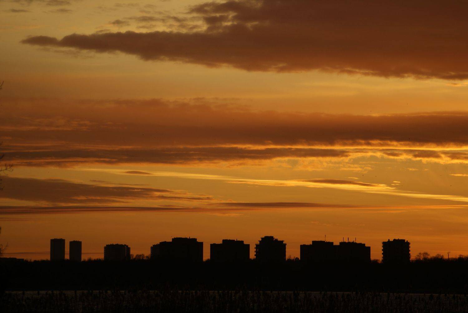 Photo #6253397