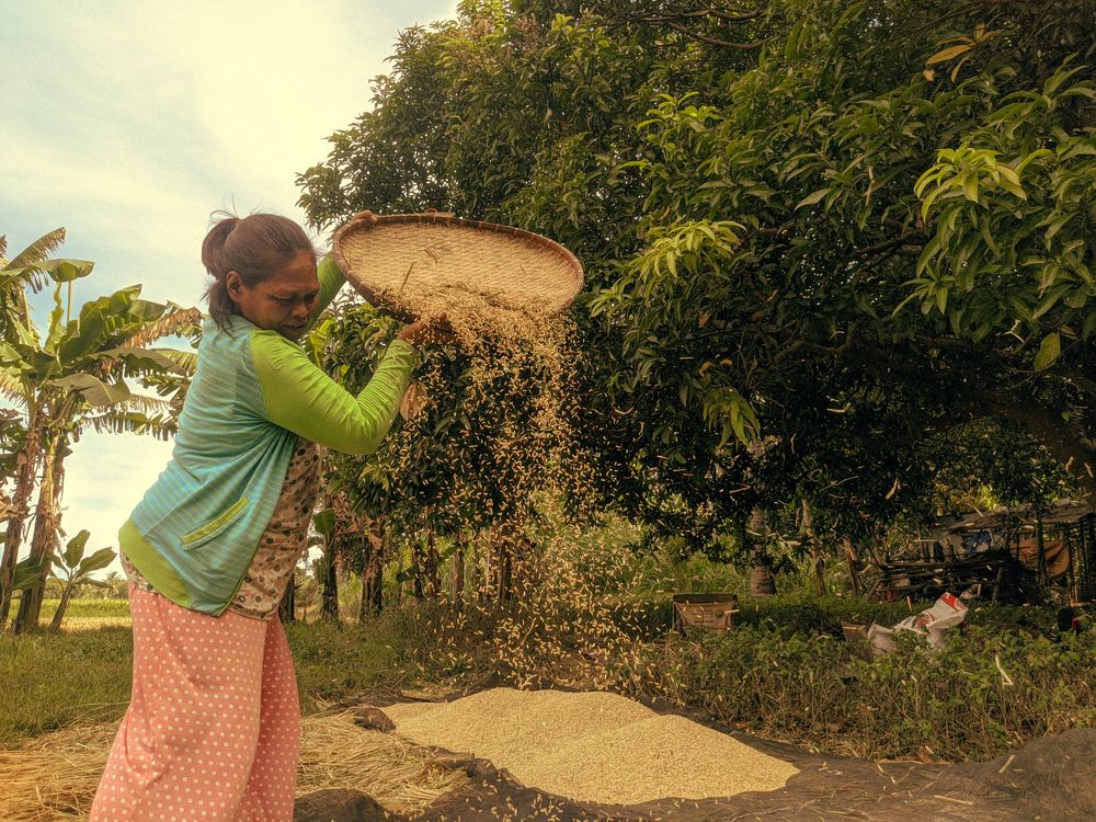 Photograph by Jasper Dominic Miranda