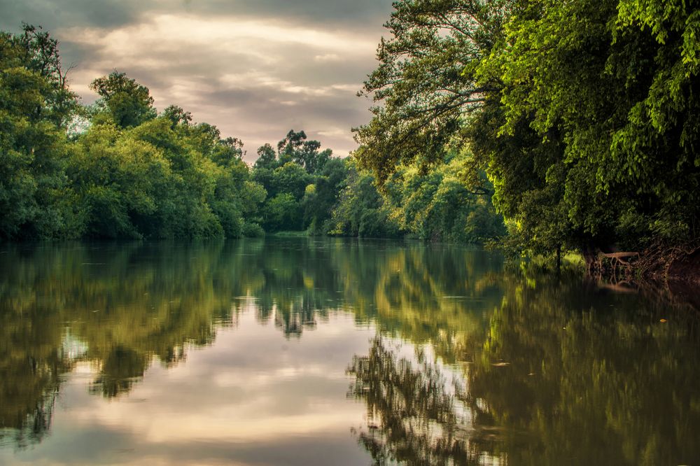 Reflection of the trees at riverside in  the water.