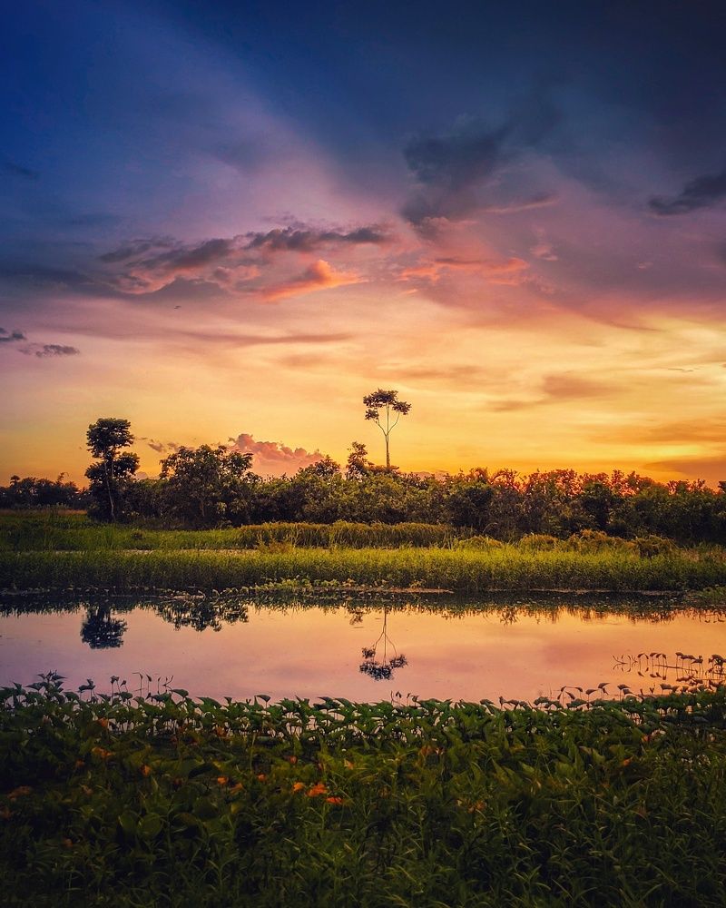 Serenity of Rural Bengal