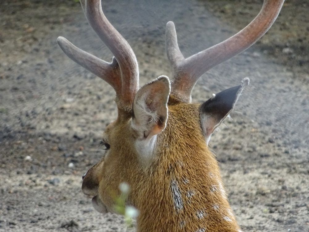 Photograph by Олександр Опанасюк