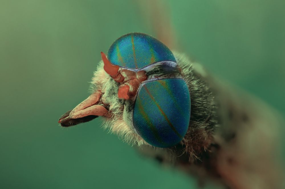 Photograph by Сергей Романченко