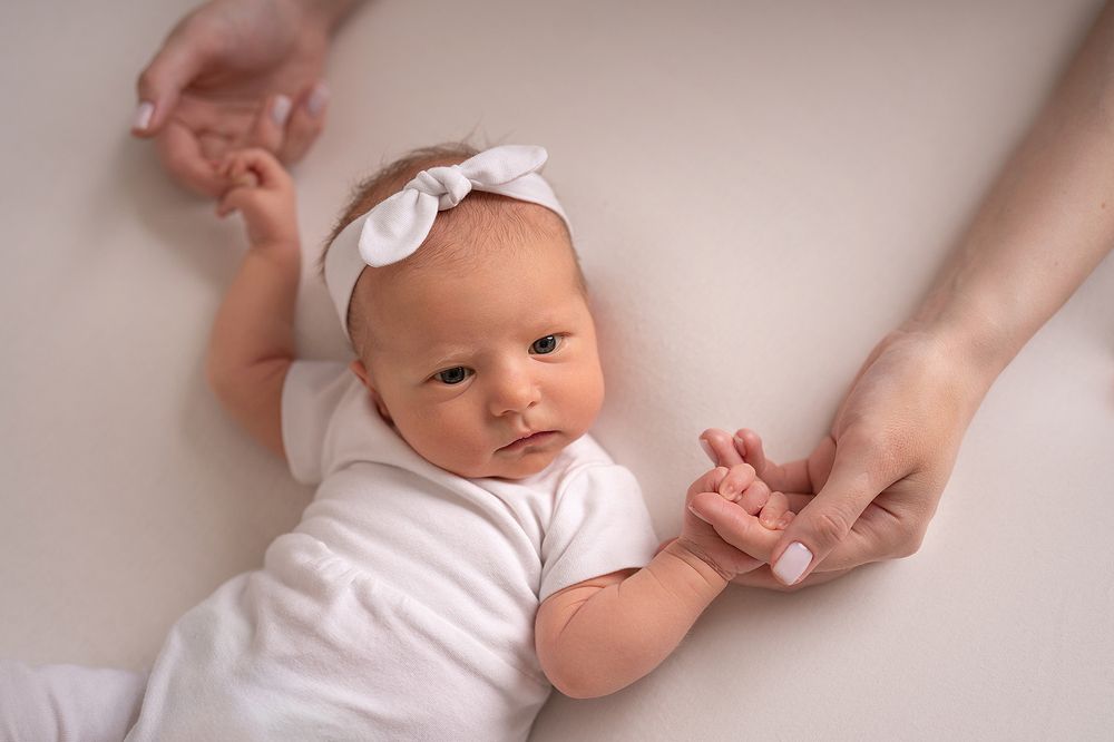 Фотография автора Светлана Новожилова