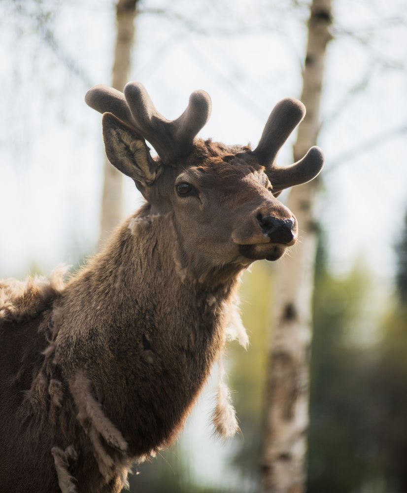 Photograph by Даркина Дарья