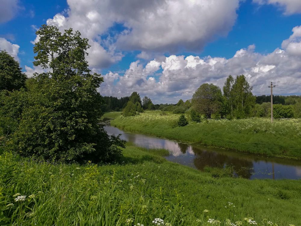 Photograph by Даркина Дарья