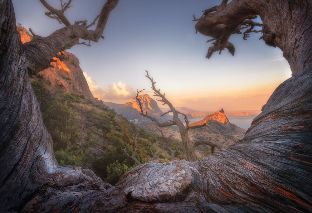 По дороге в рай