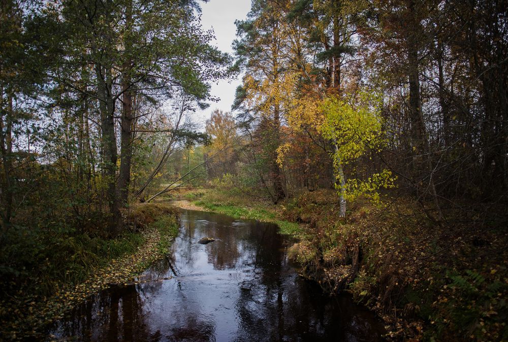 Photograph by Даркина Дарья