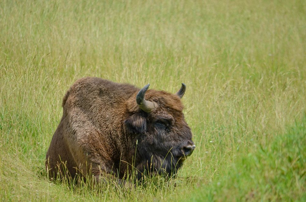 Photograph by игорь герасимовский