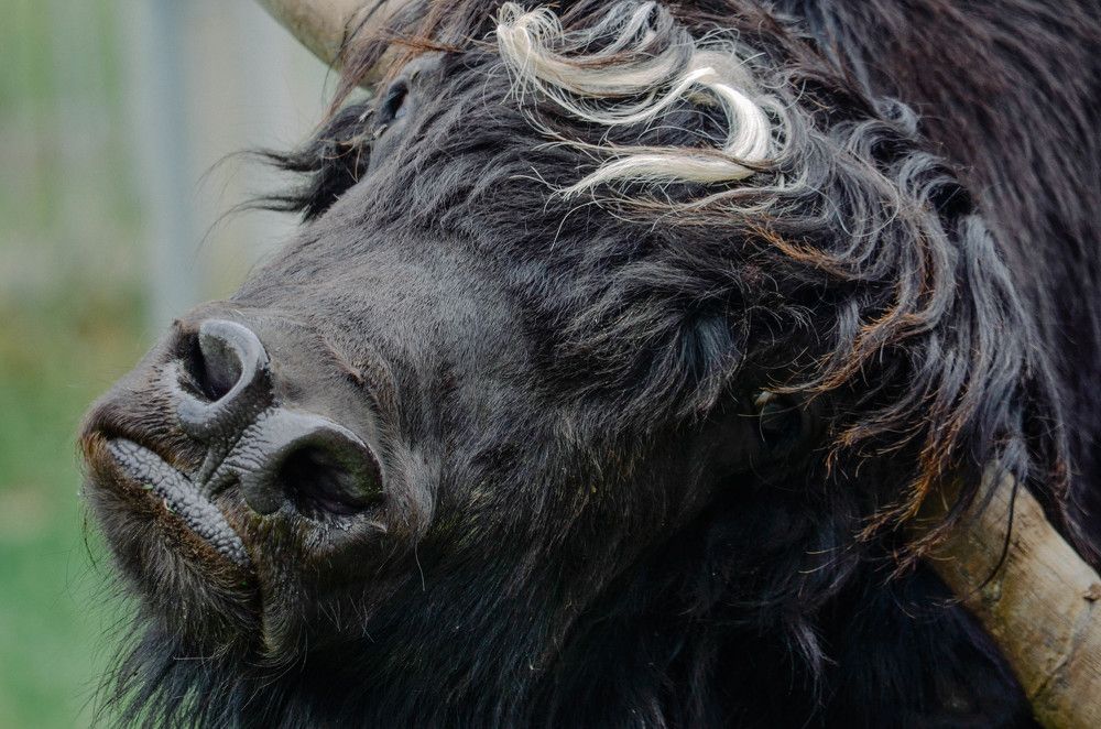 Photograph by игорь герасимовский