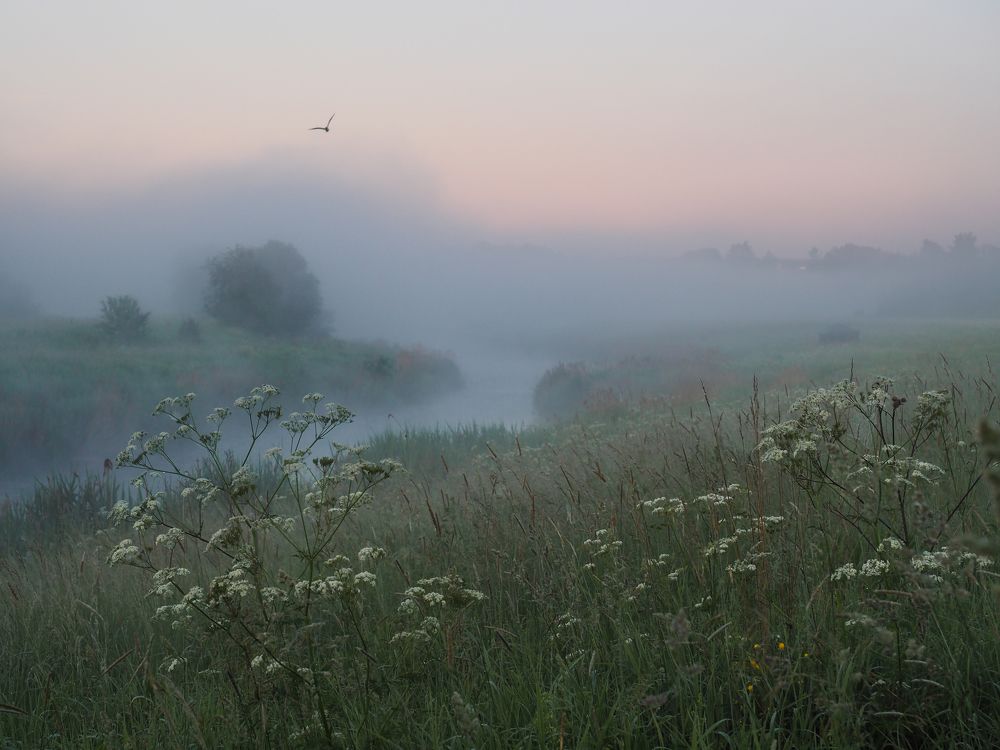 Июньский рассвет.