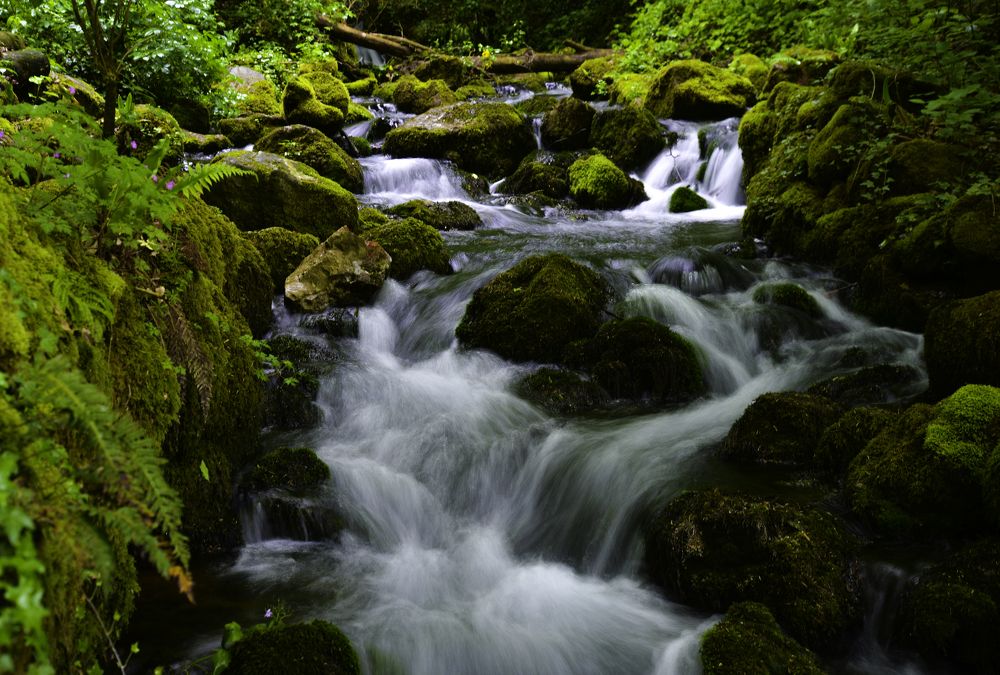 Фотография автора Iulian Vieru