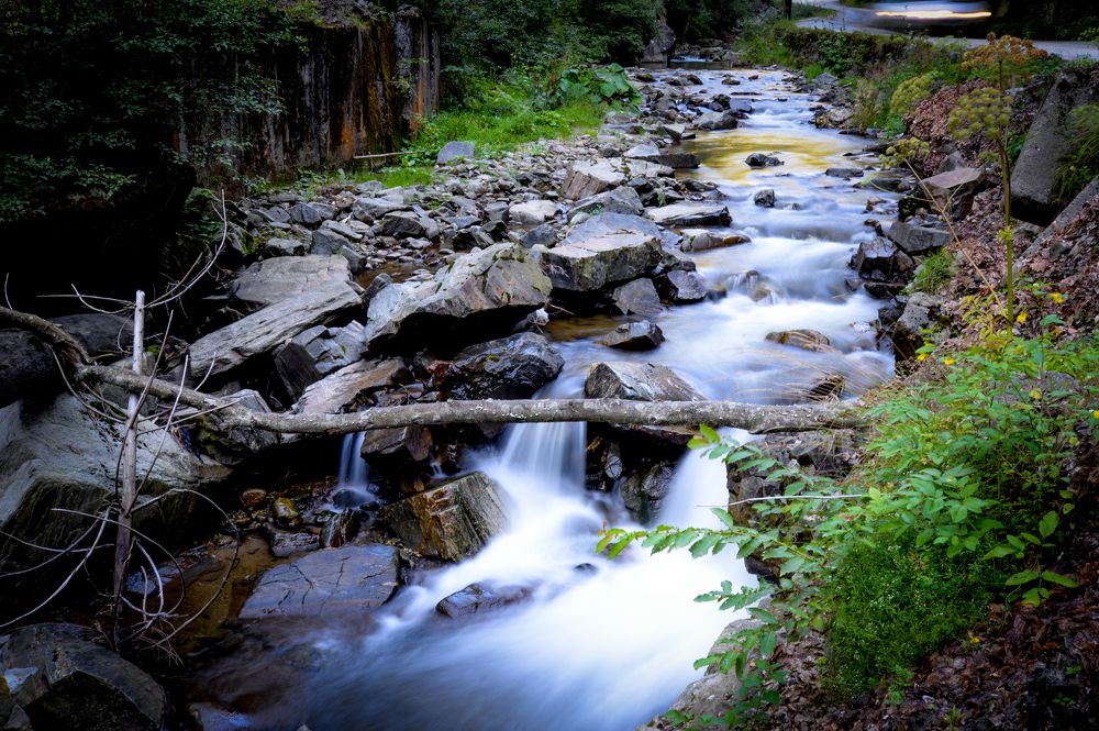 Фотография автора Iulian Vieru