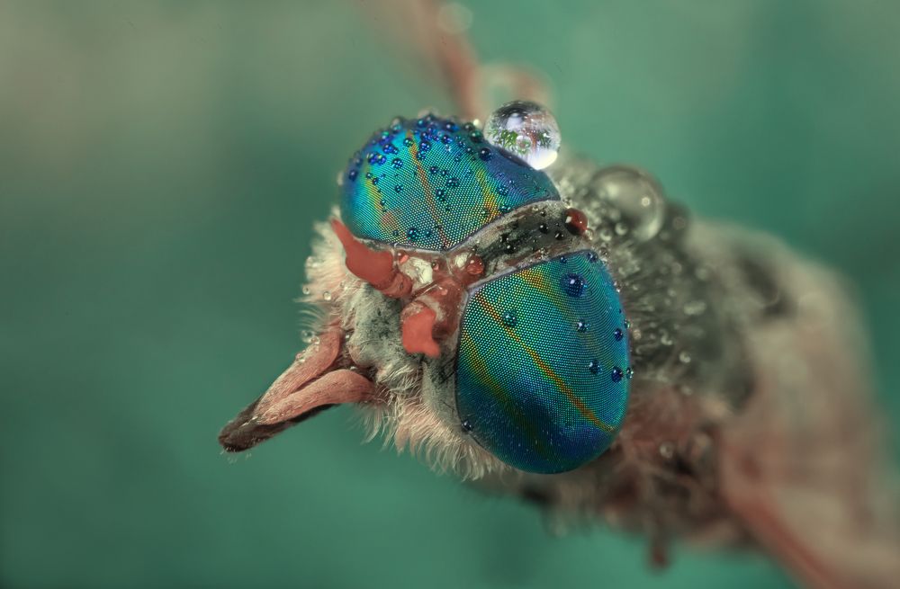 Photograph by Сергей Романченко