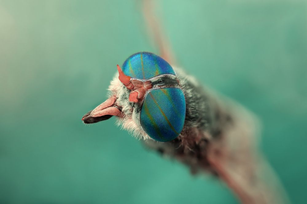 Photograph by Сергей Романченко