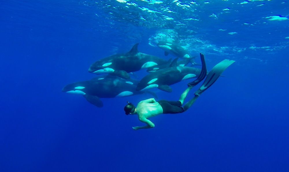 Photograph by Serge Melesan