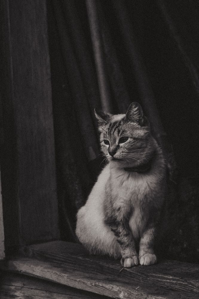 Photograph by Никита Капустин