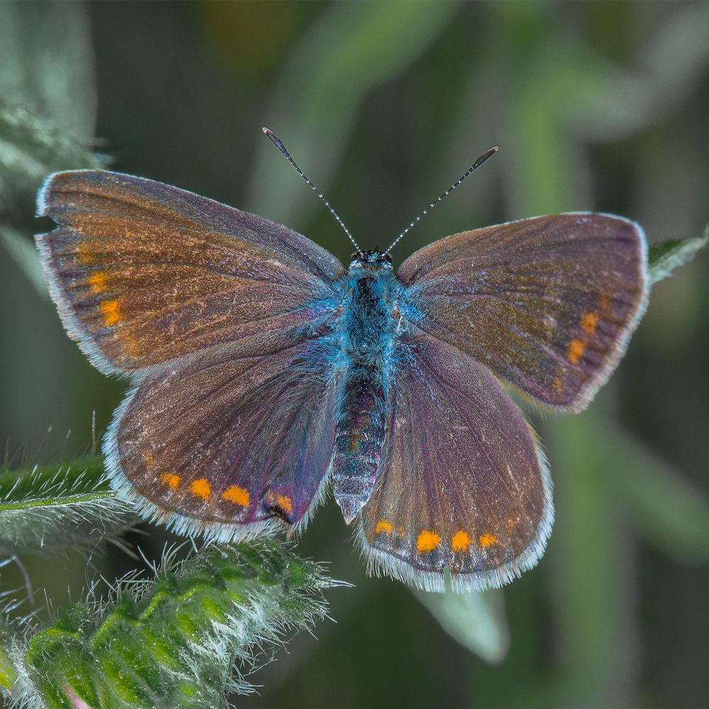 Photograph by Михаил