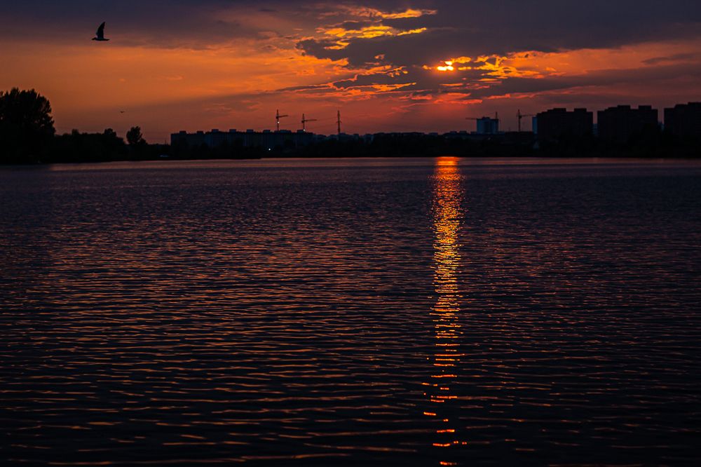 Солнечная дорожка