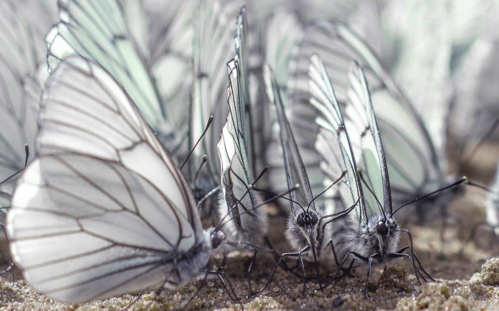 Photograph by Дмитрий Бутин