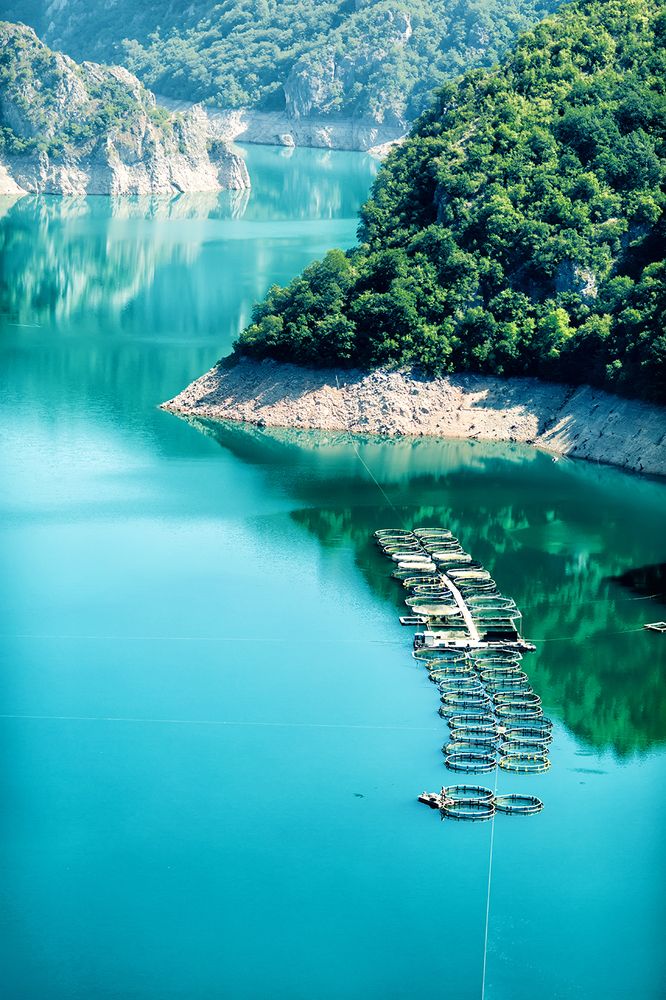 Photograph by Ирина Малина