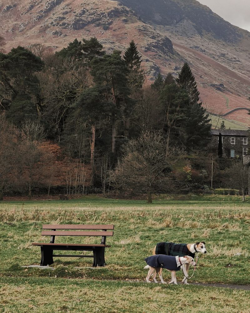 Photograph by Gheorghe Tabuleac