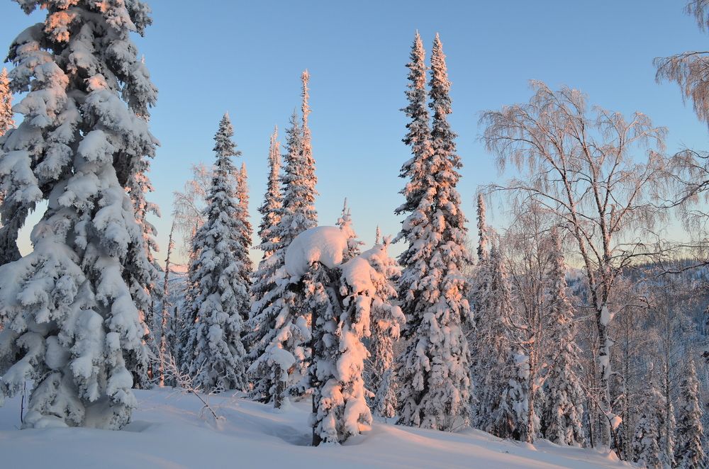 Photograph by Елена Кожевникова