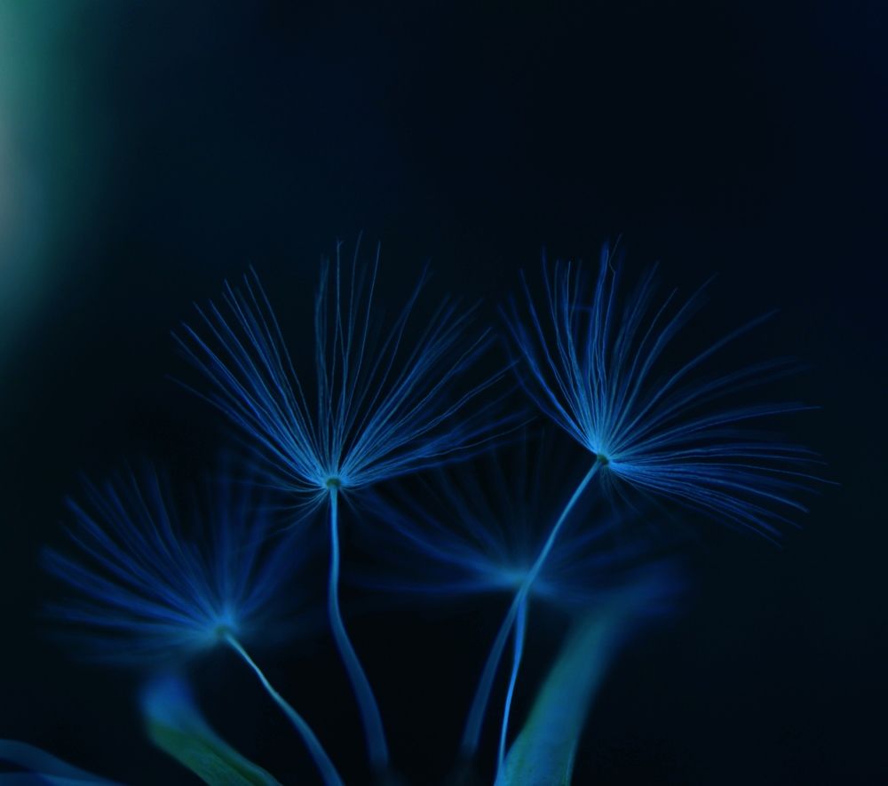 Изящность в мелочах