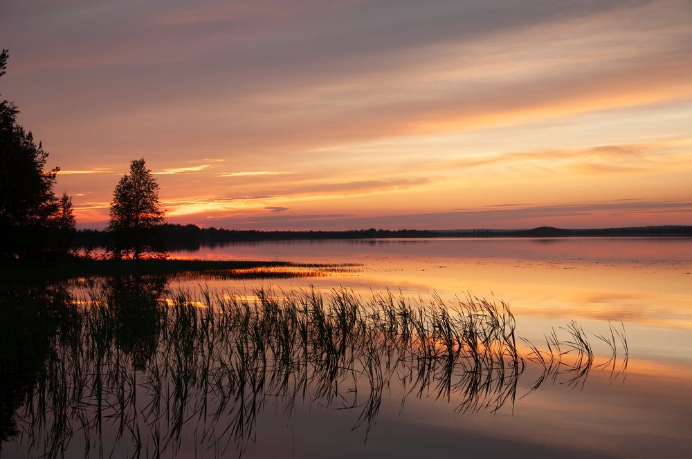 Утро на рыбалке