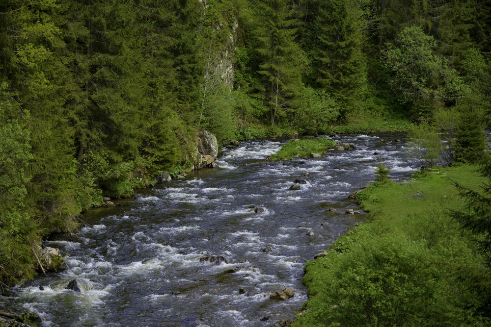 Фотография автора Iulian Vieru