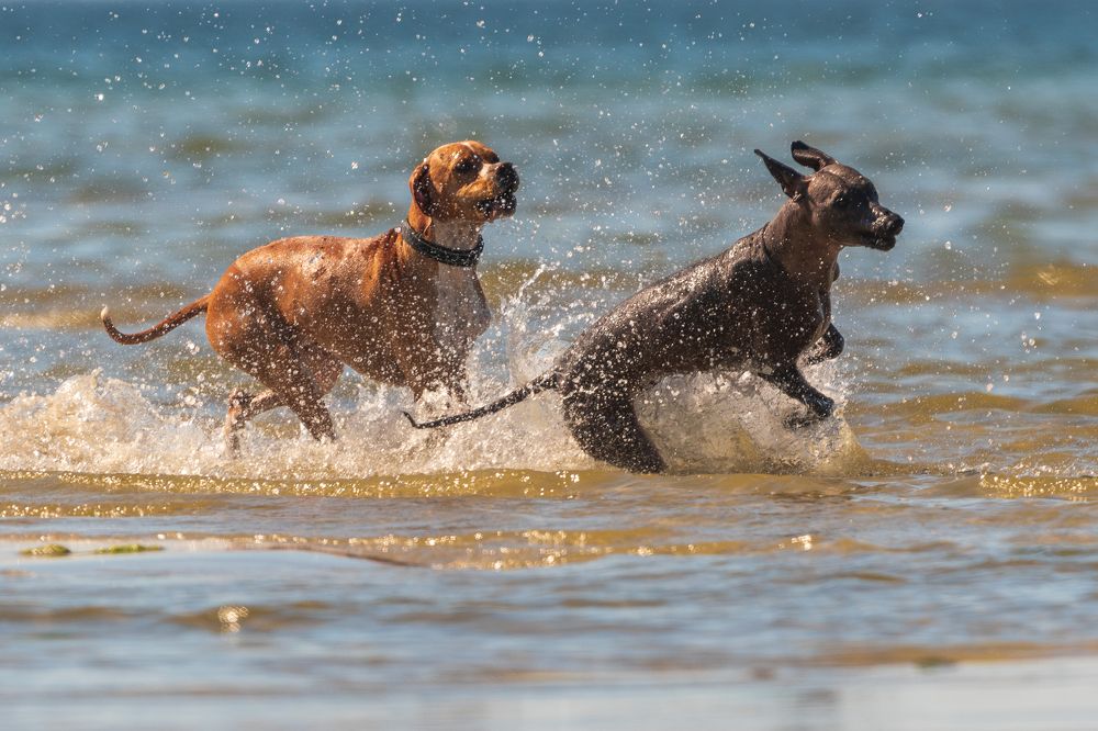 Фотография автора Юрий Макаров
