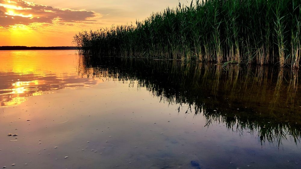 Photograph by Евгений Евдокимов