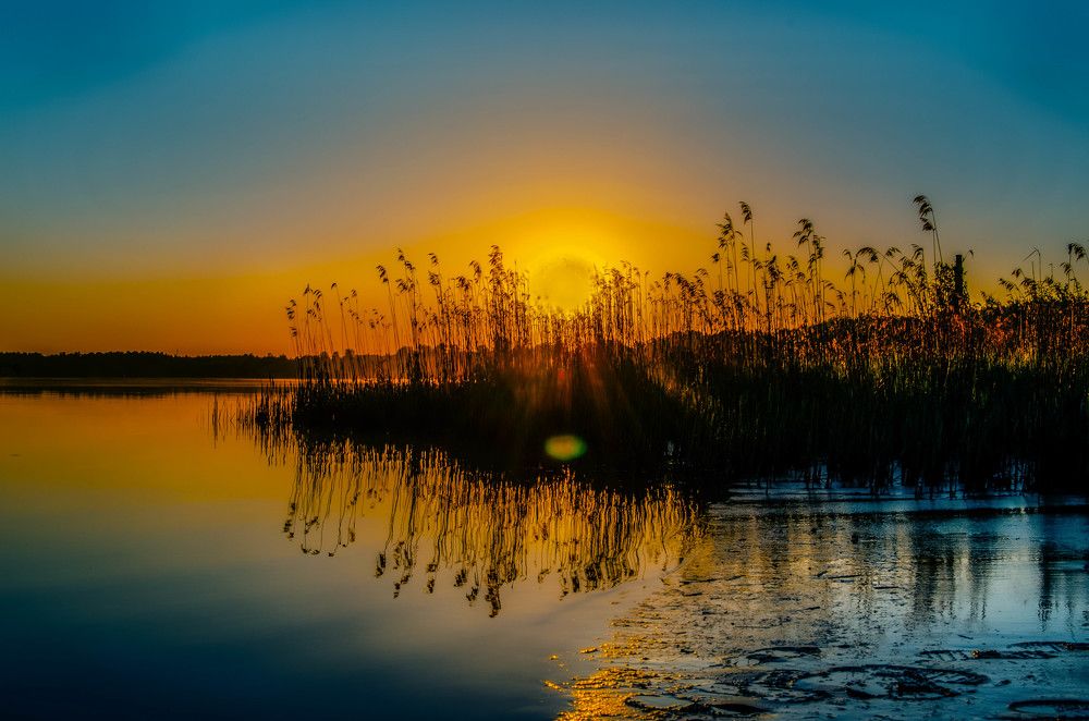 Photograph by Мария Дубова