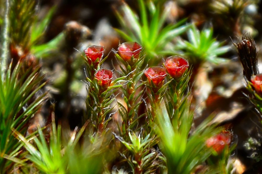 Photograph by Екатерина Саламайкина