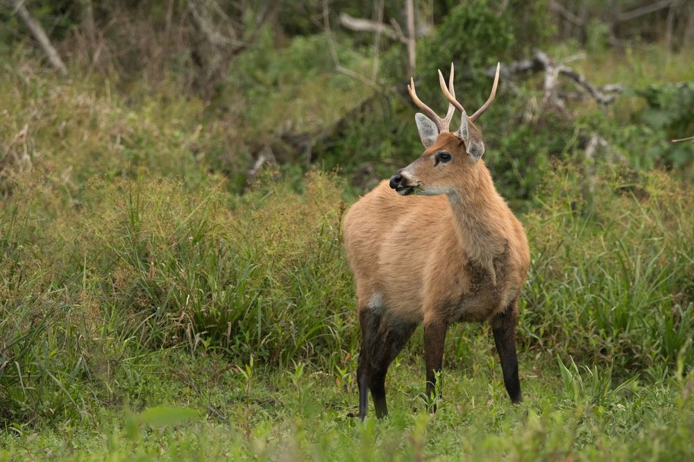 Photograph by Pablo Re