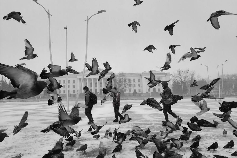 Photograph by Сергей Сергеев