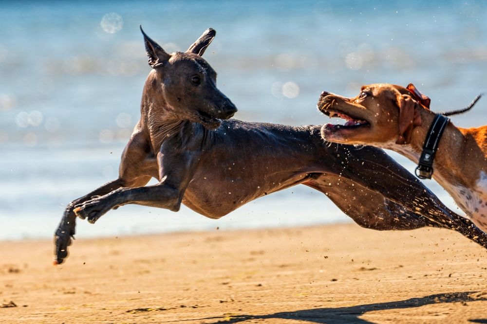 Фотография автора Юрий Макаров