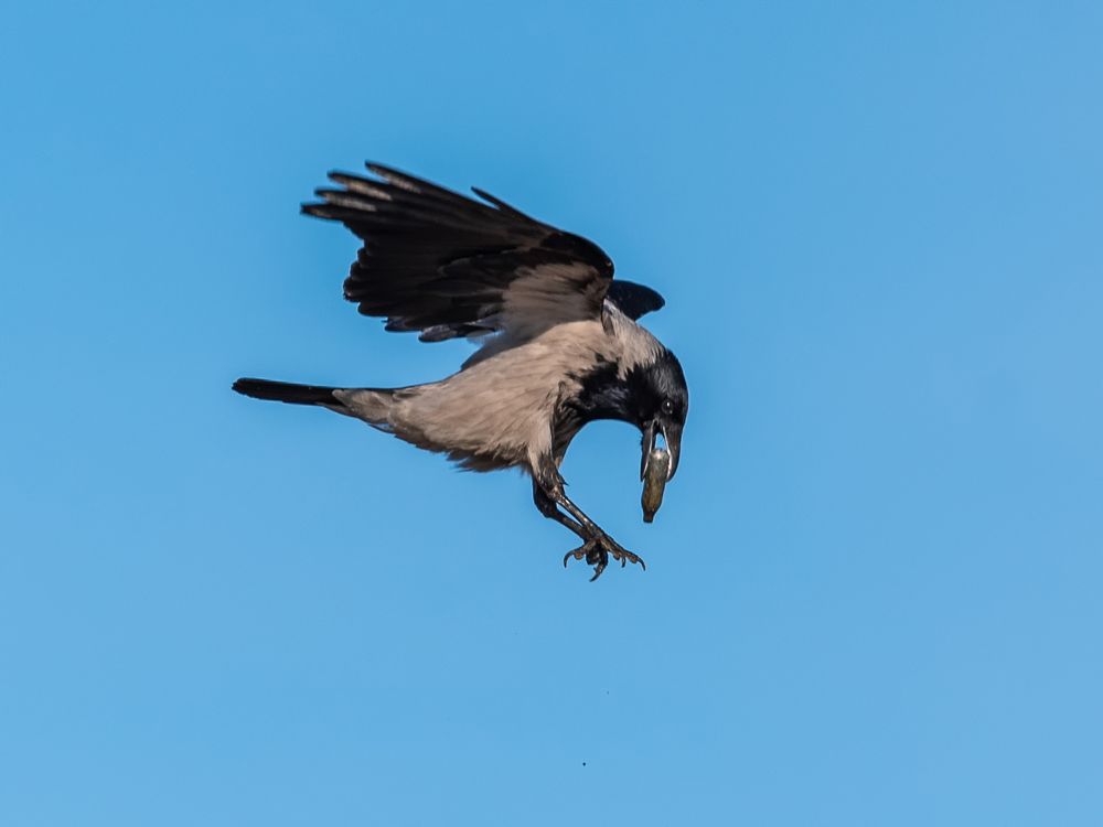 Фотография автора Юрий Макаров