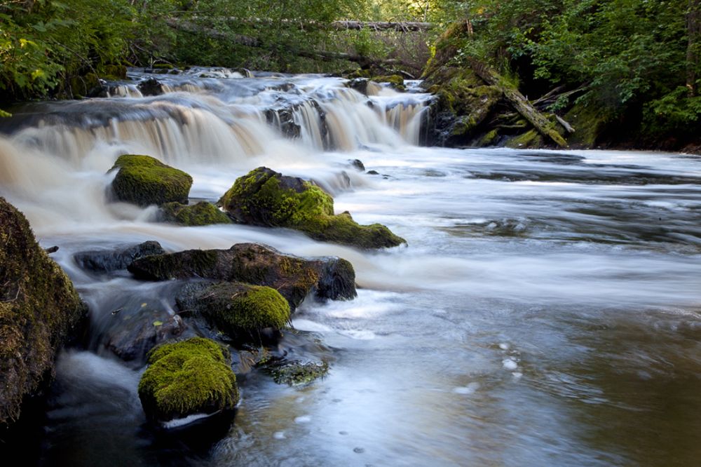 Фотография автора Мария Хамаганова