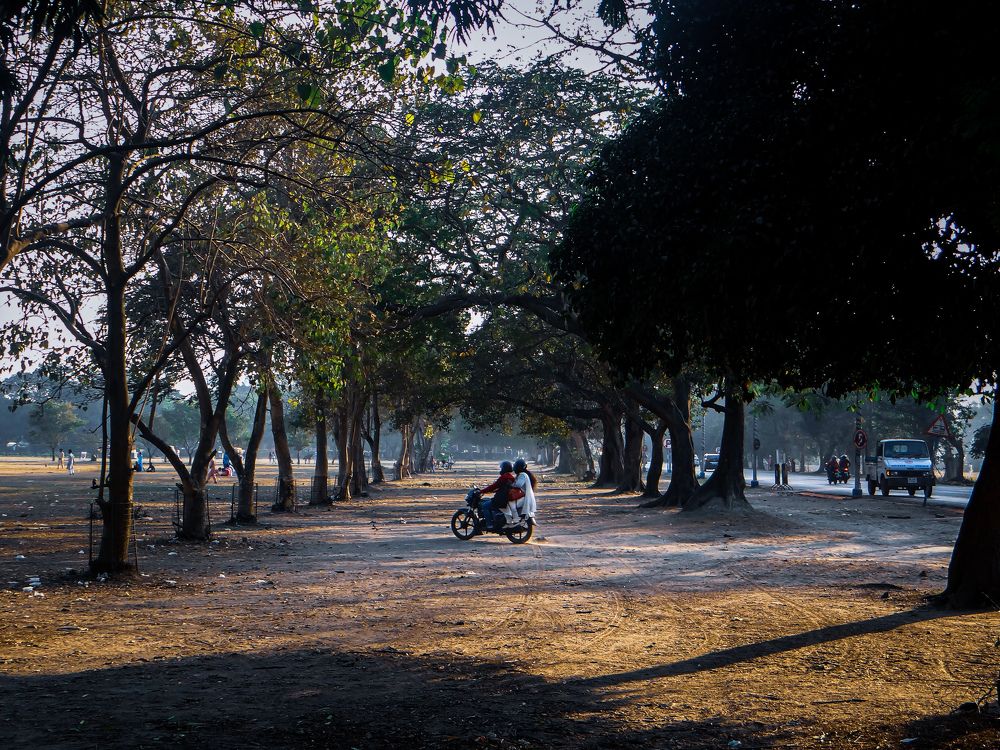 Photograph by SUBHODEEP MONDAL