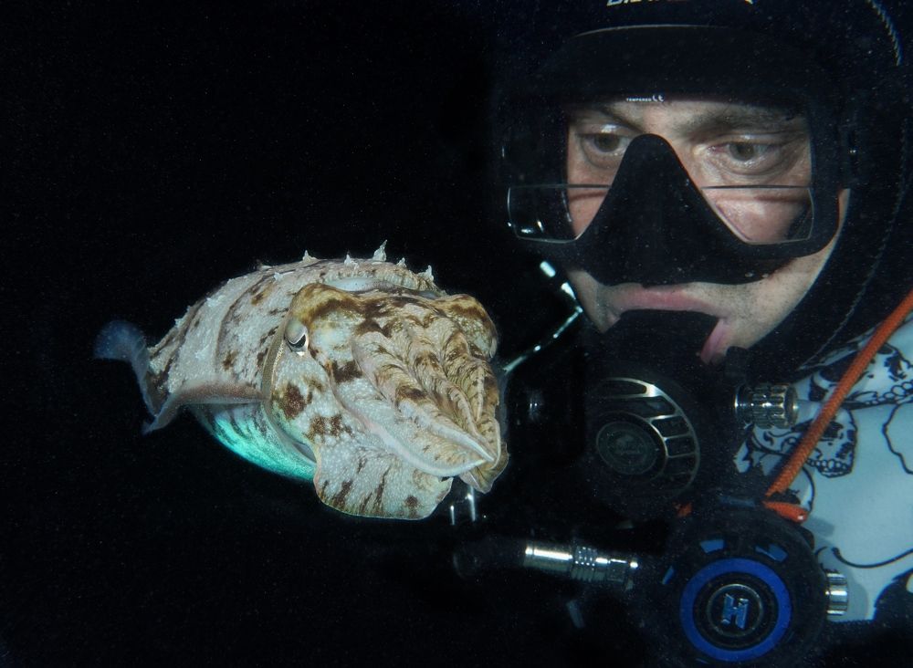 Ночное свидание