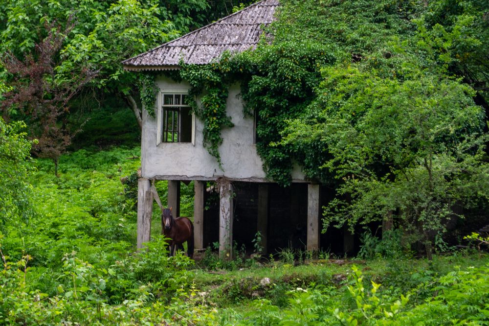 Photograph by Дмитрий Лебедев