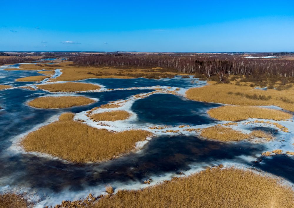 Разлив Оршицы