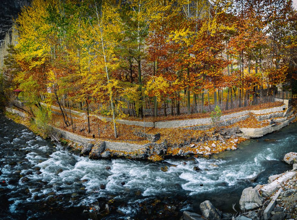 Photograph by DAMOUN POURNEMATI