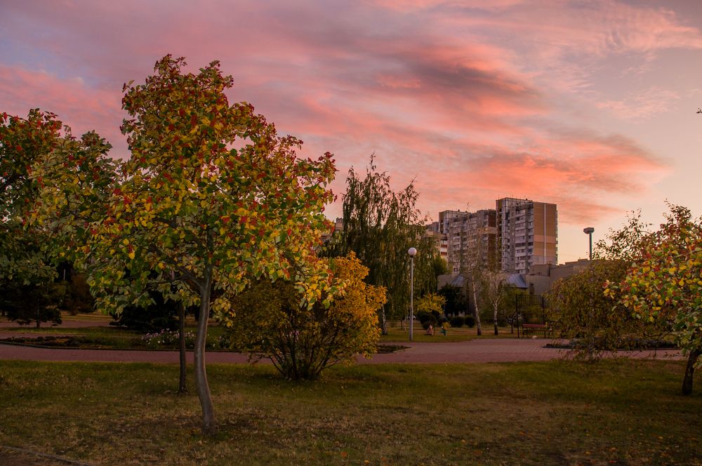 Photograph by Ясинский Юрий