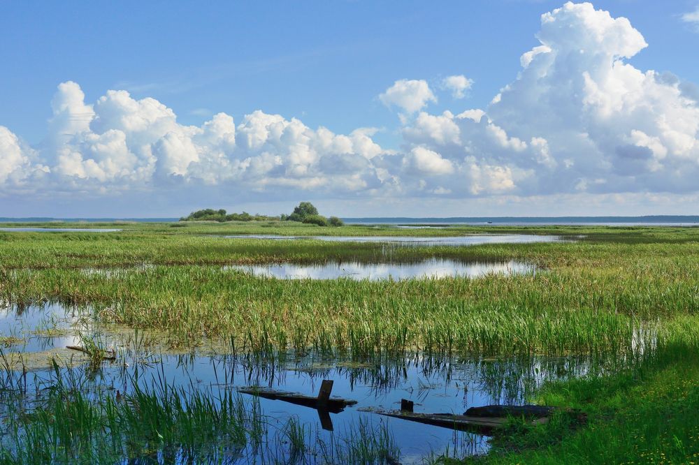 Photograph by Василий