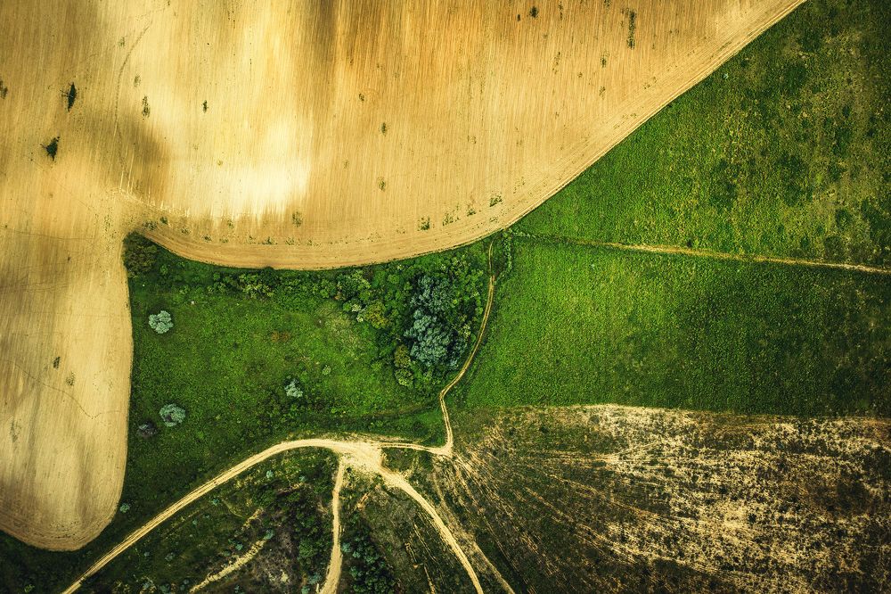 Фотография автора Csépe Róbert