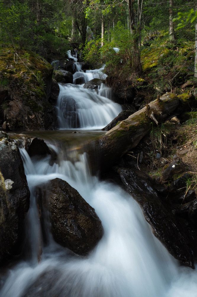 Photograph by Надежда Меркулова